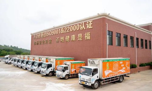 廣東羅定天溪冷鏈物流產(chǎn)地倉一期項目正式動工，助力海淘物流升級