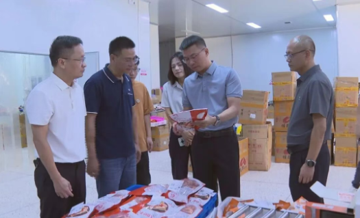 縣長調研電商及口岸經濟工作，聚焦海淘物流發展新路徑